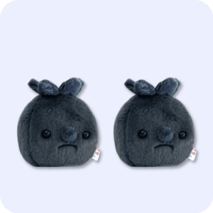 Forgotten Blueberry Plush 2PCS